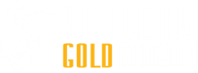 Academy Gold Cinema
