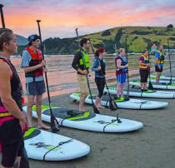 Akaroa Paddleboard School & NightSUP Akaroa