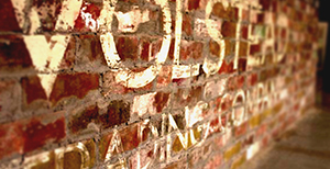 Volstead Trading Company