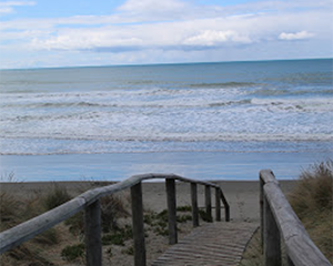 Bottle Lake Forest Park