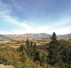 Conical Hill & Heritage Forest
