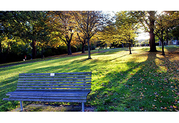 North Hagley park