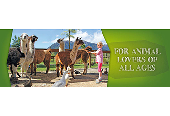 Hanmer Springs Animal Park