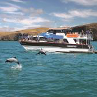 Akaroa Harbour Nature Cruises