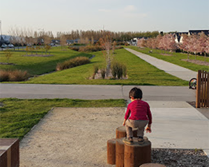 Longhurst Playground