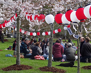 Halswell Quarry Park