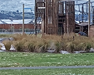 Broken Run Playground