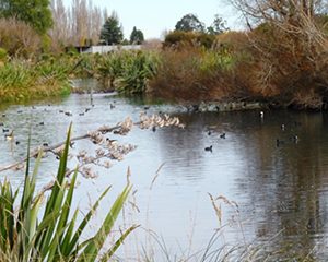 Styx Mill Conservation Reserve