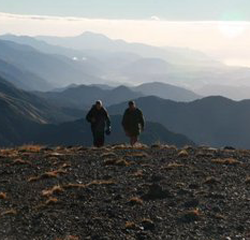 Kaikoura Wilderness Walks