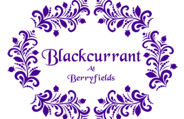 Sweethearts at Berryfields Restaurant